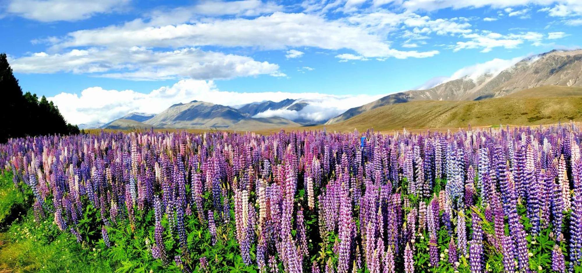 Ferienwohnung 37 Galaxy C Studio Lake Tekapo Exterior foto